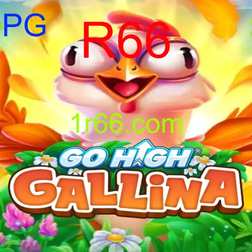 GoHighGallina